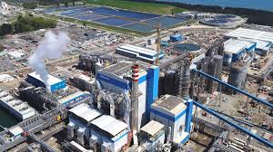 Arauco Manager: "If the new President, whatever their political color, understands the importance of growth and security, we are ready to invest"