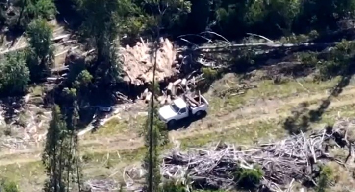 Cinco detenidos por sustracción de madera en Los Lagos: incautan maquinaria