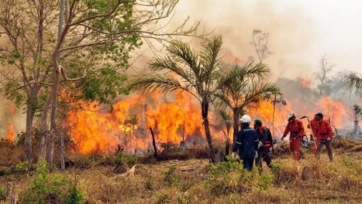 Bolivia Mobilizes Experts from Chile and 3,000 Firefighters to Areas Affected by Wildfires