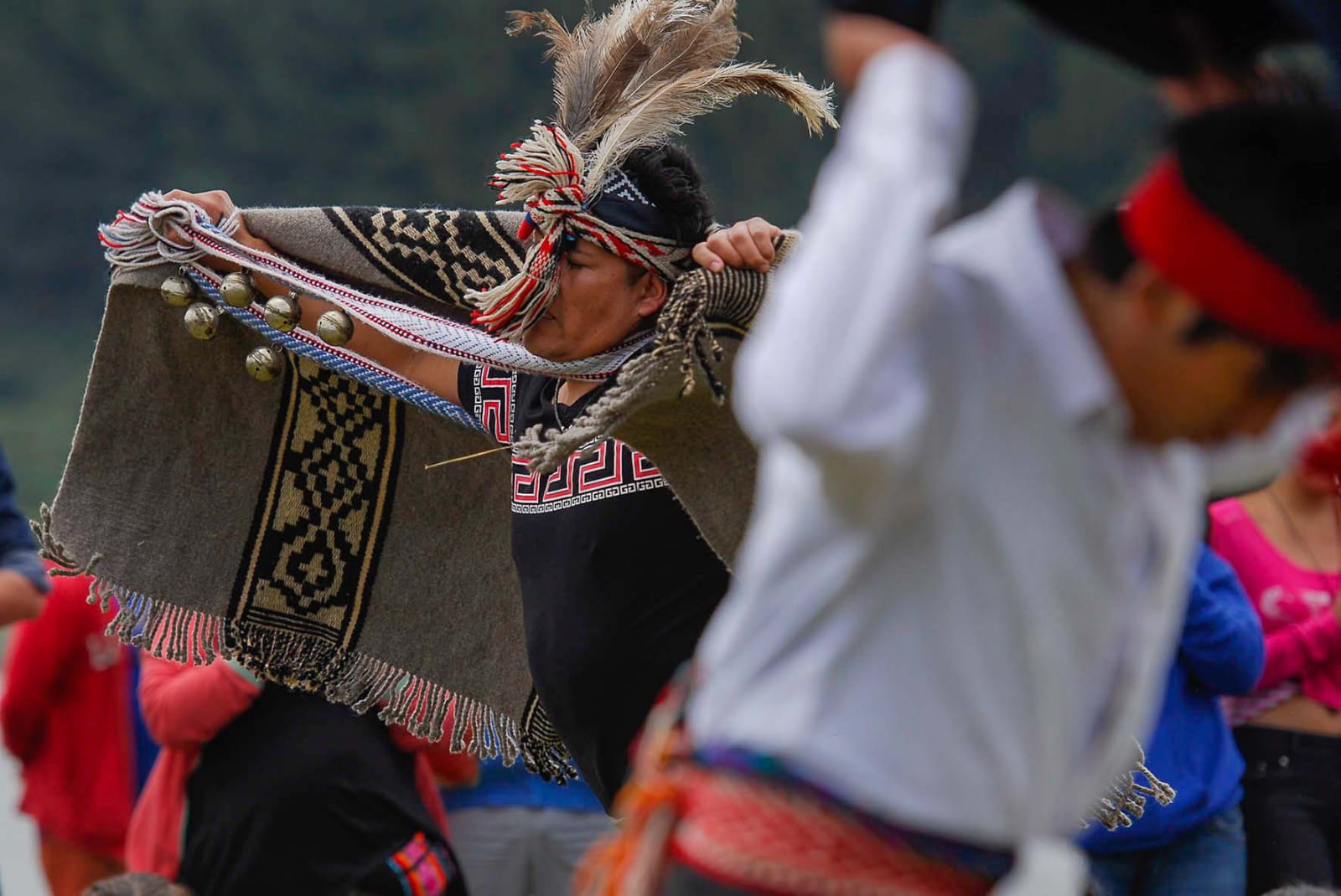 Mapuche forestry engineer proposes integrating “cultural ethos” into productive development