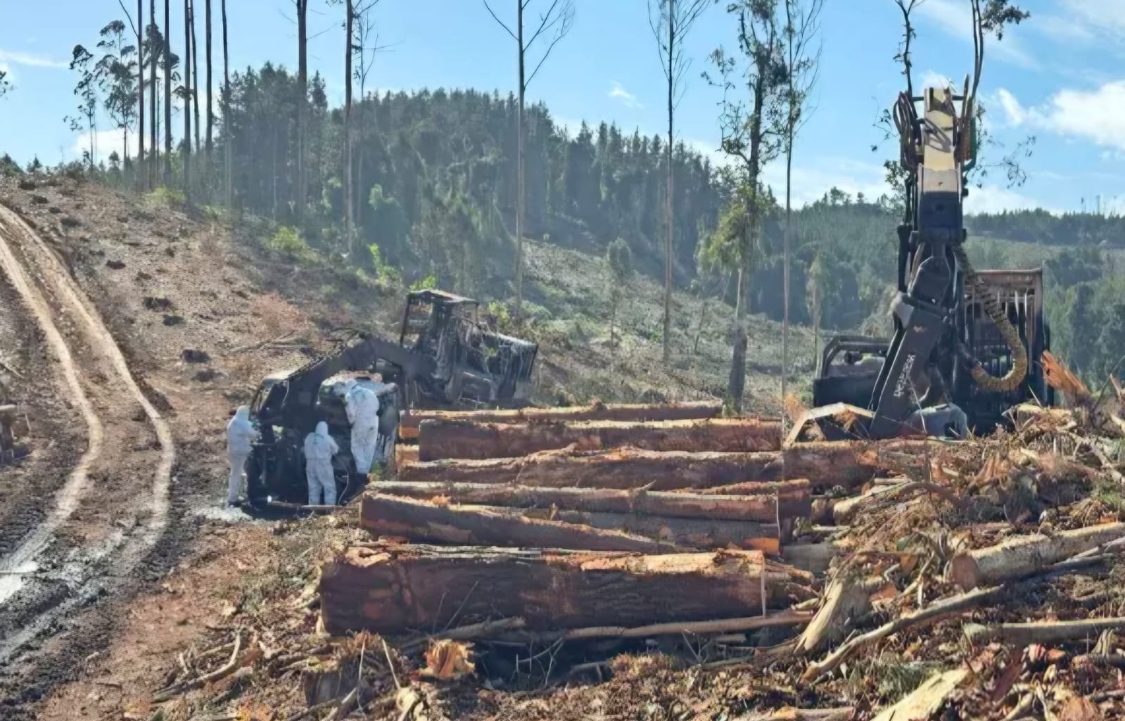 “O Governo está preocupado em diminuir a presença militar por uma questão de custos mais do que pela própria segurança”