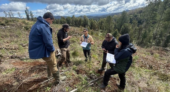 Innovative Monitoring Methodology for National-Level Forest Restoration