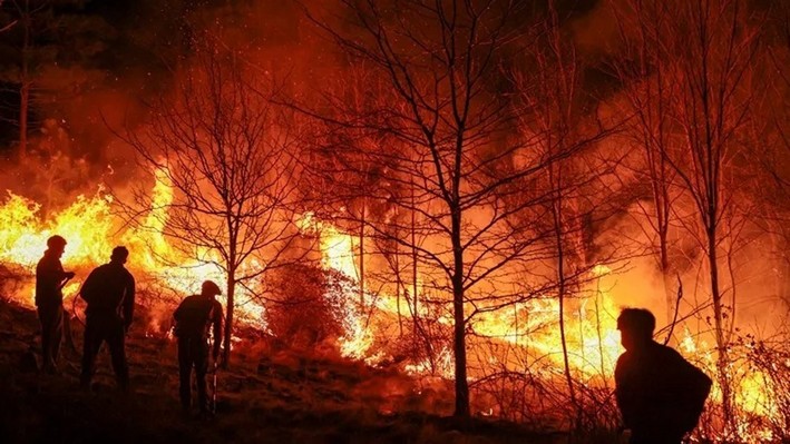 CONAF and SMA Give Green Light to Strict Oversight Work to Prevent Forest Fires