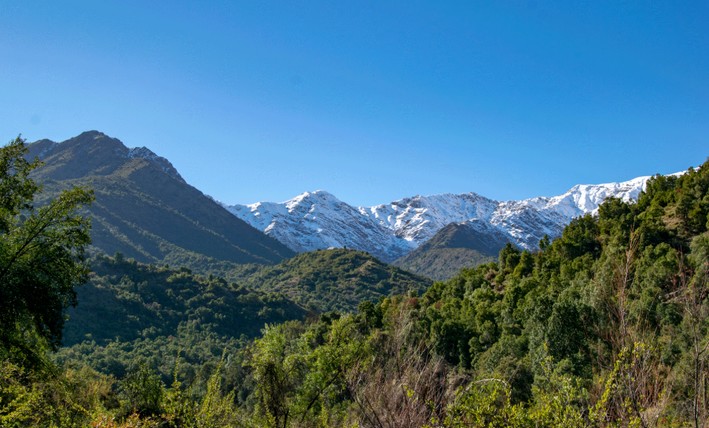 Government postpones transfer of protected areas to SBAP and opens investigation into shortcomings detected in the process