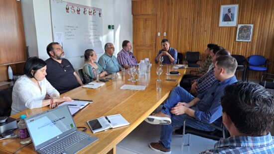 Corfo Seeks to Transform the Forestry Sector in Aysén Through Innovation