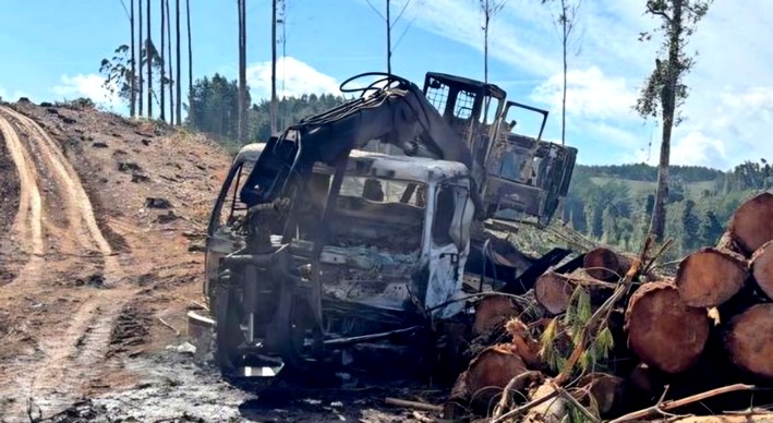 Contratistas forestales, golpeados por más de 500 atentados, viven crisis por alta cesantía