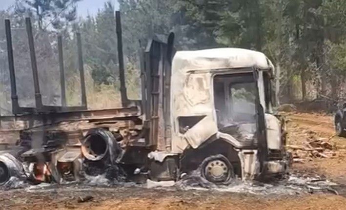 Acoforag Claims La Araucanía Suffers Normalization of Terrorist Activity