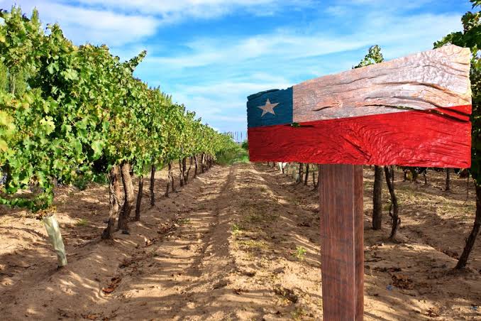 Agro sube el tono por aranceles de EE.UU.: Sector calcula un impacto de hasta US$400 millones