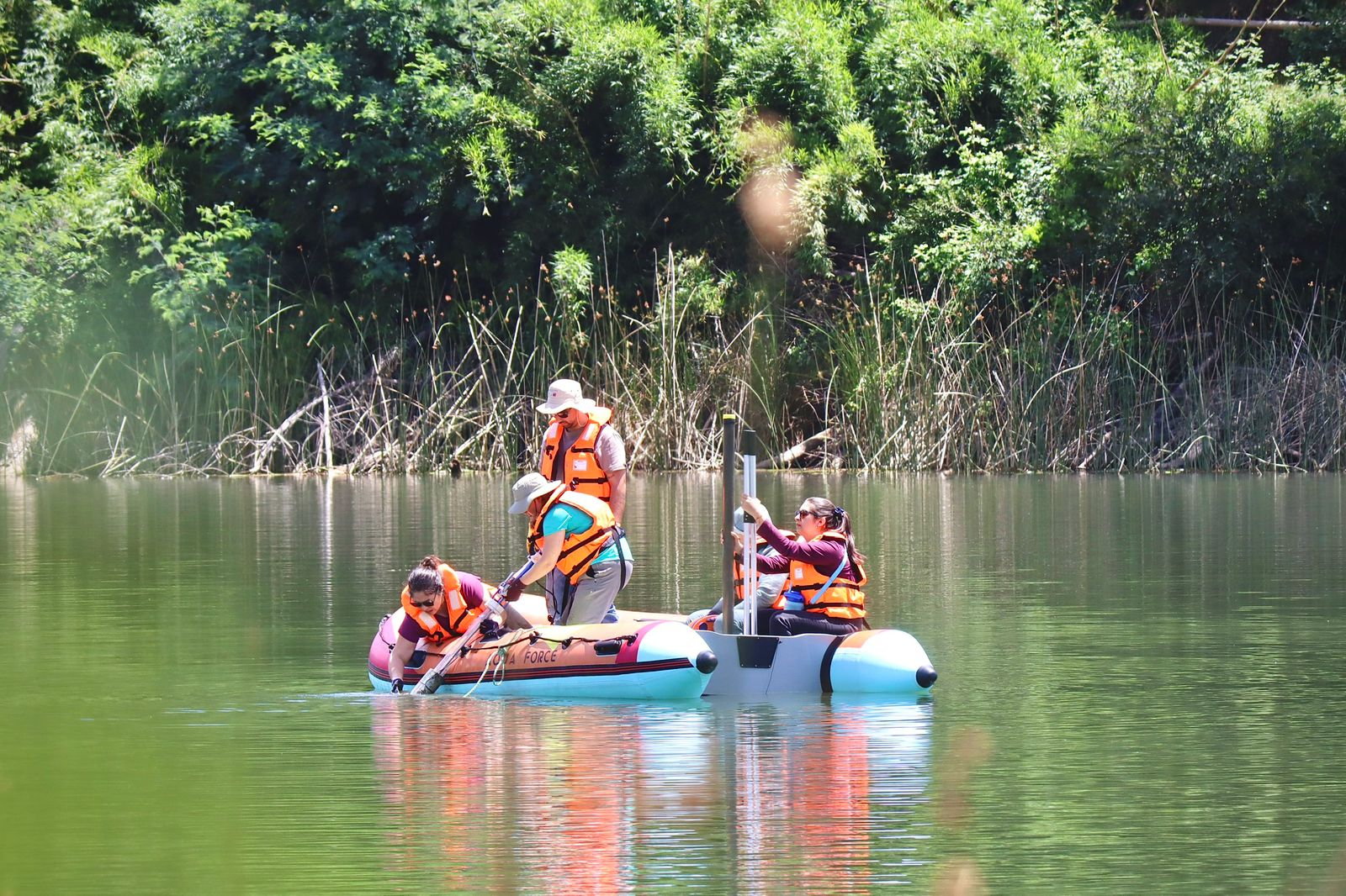 Fondecyt UBB indaga en la historia de incendios y erosión en Ñuble para comprender efectos de la acción humana