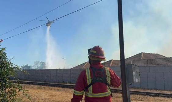 Worker Detained for Alleged Responsibility in Forest Fire in La Cruz