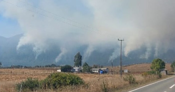 Forest fire continues to rage in Lanalhue: 10 simultaneous hotspots reported