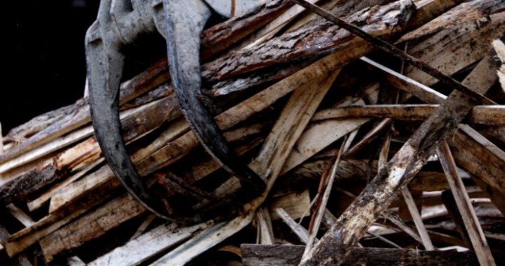 Seremi del Trabajo vincula cierre de aserraderos a baja del robo de madera: le piden no generalizar