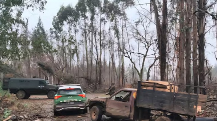 Illegal logging gang dismantled in Ercilla: four arrested