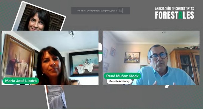 Crisis in the Chilean Forestry Sector: A Cry for Alert Over Violence and Supply