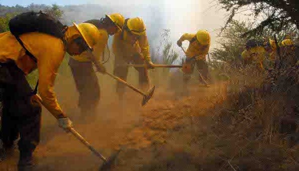Biobío Records 25% Fewer Wildfires This Season