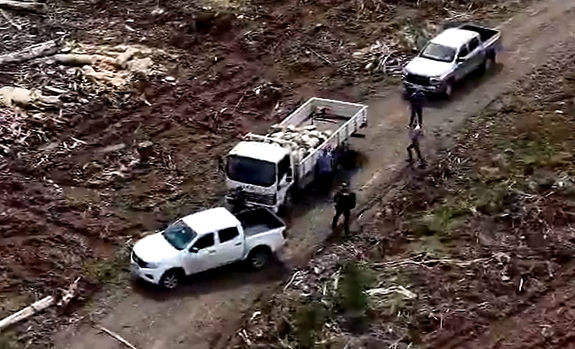 Operativo policial en Ercilla termina con dos detenidos por robo de madera desde predio forestal