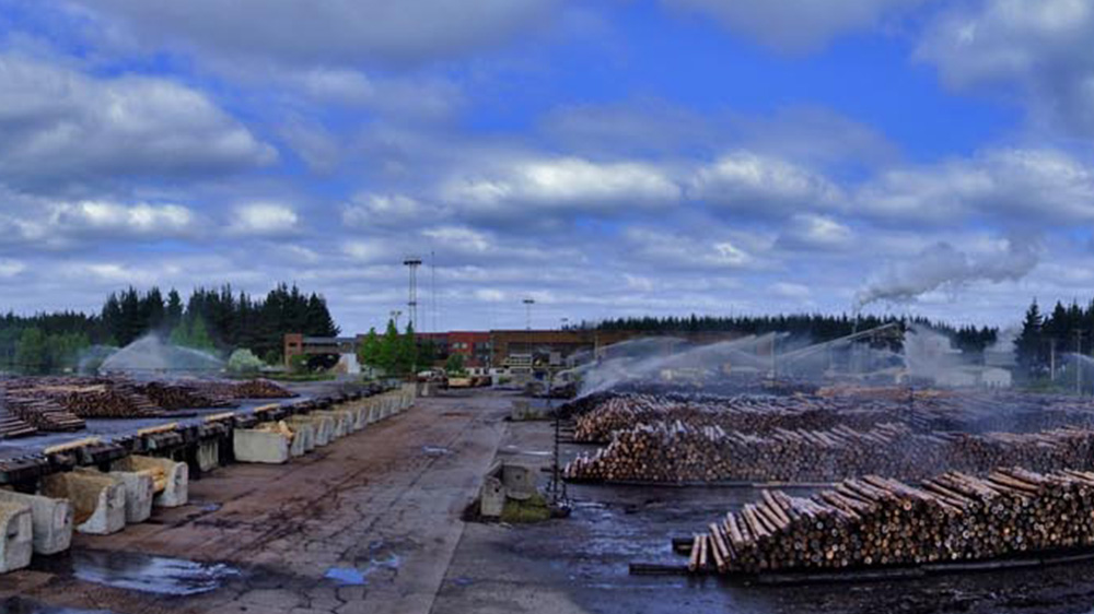 Strategic Alliance in the South: Transap and CMPC Bet on Sustainable Rail Logistics