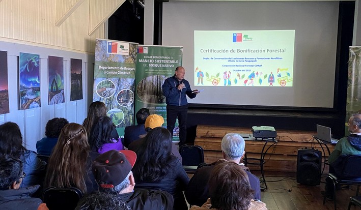 Panguipulli Neighbors Awarded for Protecting Native Forest