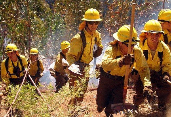 Conaf Extends Wildfire Surveillance in Biobío Until April Due to Fire Risk