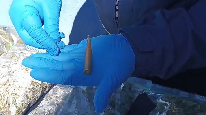 Operation Summit: 15 Kilos of Marijuana and Ammunition Seized in Ercilla