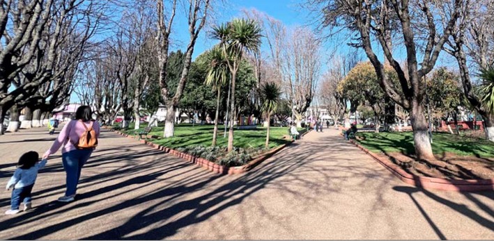 What Life is Like in Victoria, Epicenter of the Malleco Mapuche Resistance Attacks