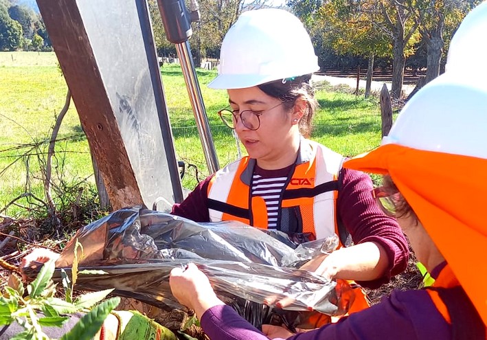 Inter-institutional plan seeks to save the "Huella de Gorbea", a critically endangered species in La Araucanía