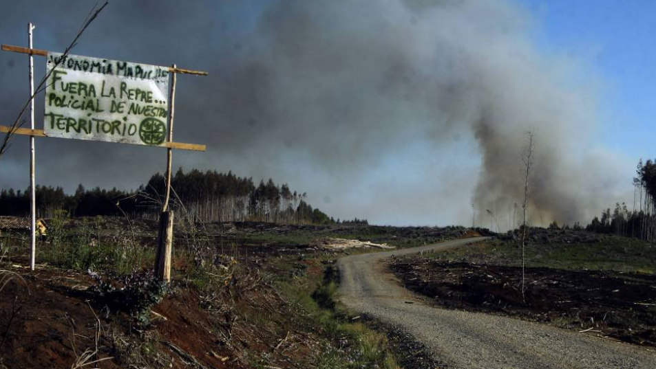 Contratistas forestales plantean relación directa entre la violencia y el robo de madera