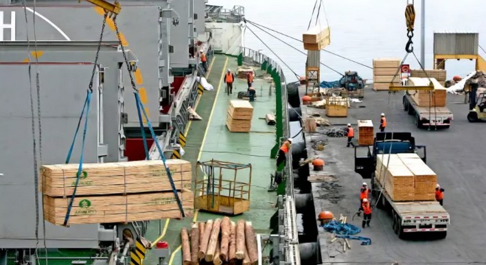Forestry Shipments Grow 5% in the First Half of the Year
