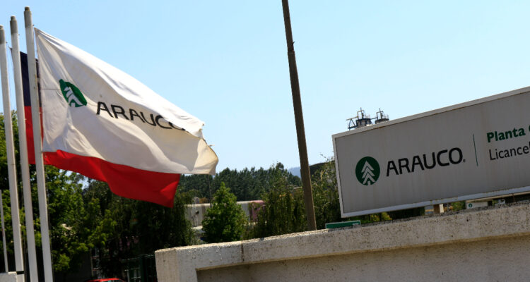 Arauco y trabas para invertir: En lo que demora un permiso en Chile, en Brasil se levantan 3 proyectos