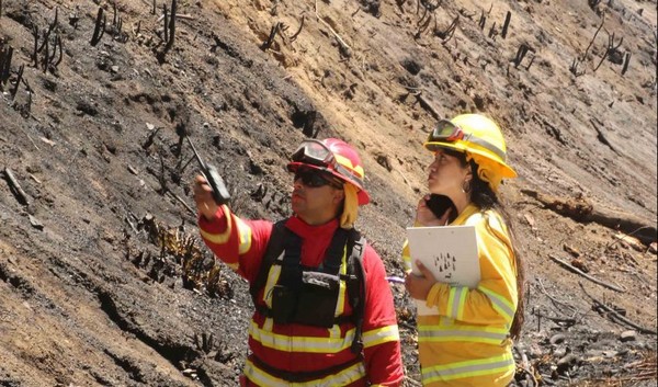 Only two arrests made out of 956 complaints filed between 2022 and 2024 for wildfires