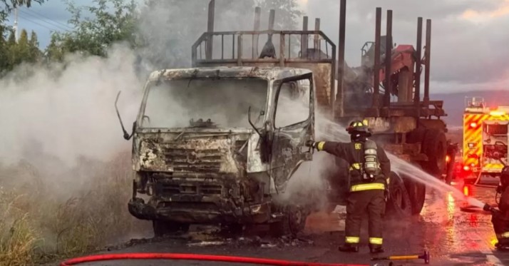 Forestry Contractors Claim "New Generations" Are Carrying Out Attacks in Southern Macrozone