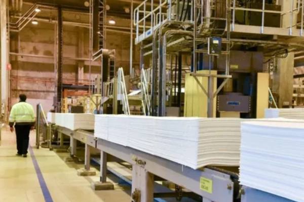 Forestry sector drives Ñuble's exports in the first 7 months