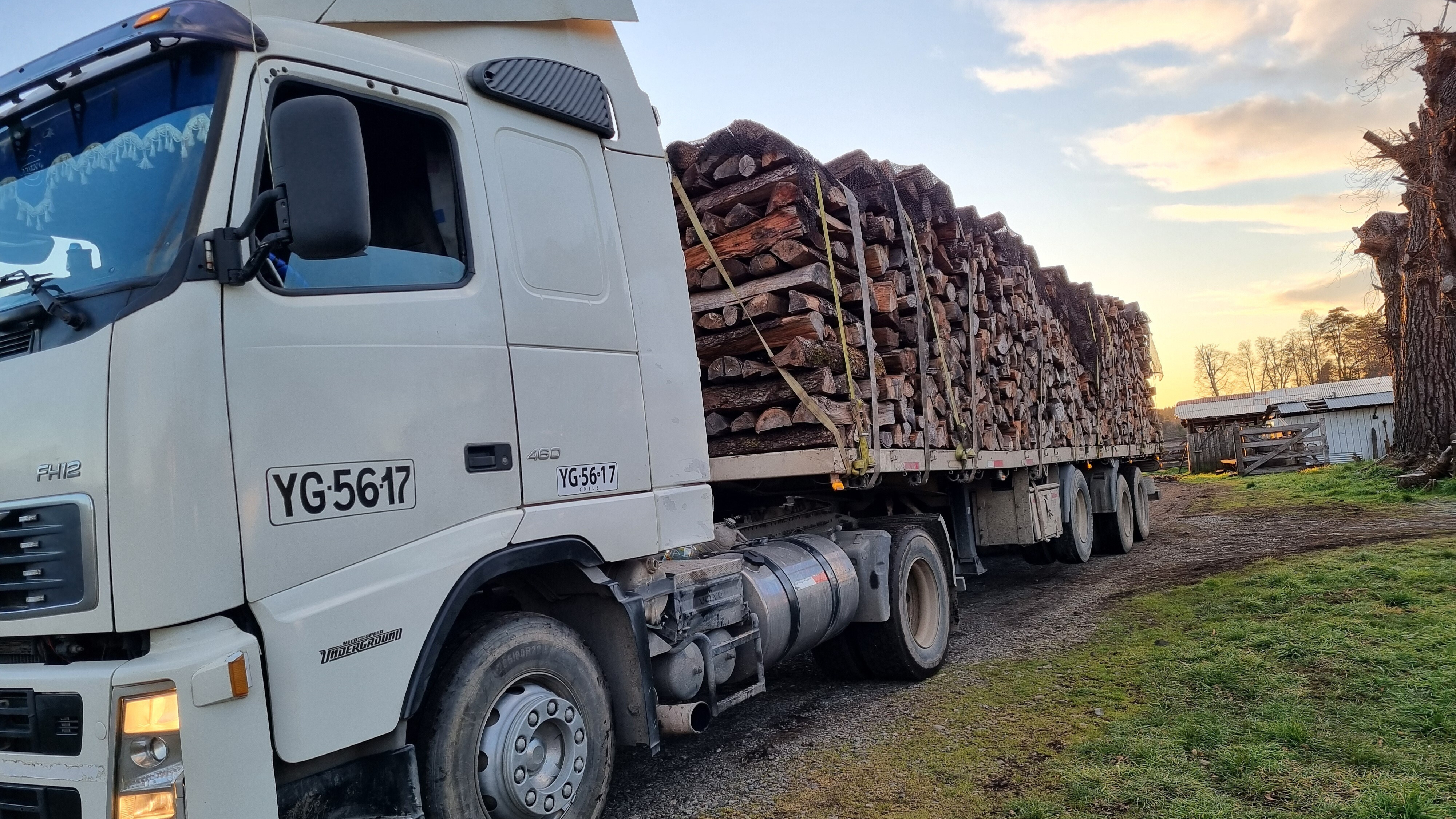 The Transformation Story of the Sustainable Firewood Trade Sector in Concepción
