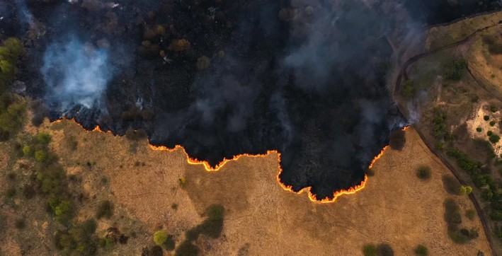 Google Launches FireSat: Satellites for Early Detection of Wildfires