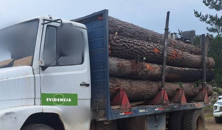 Three Arrested for Wood Theft and Assault on Police Officers in Portezuelo