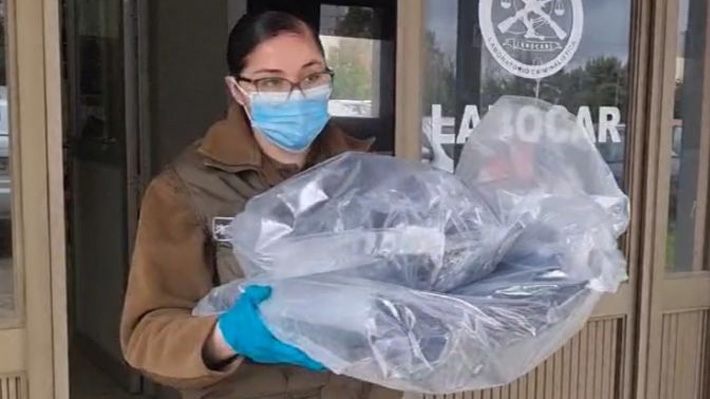 Vests Found Could Be Decisive in Investigation of Carabineros Homicide in Cañete