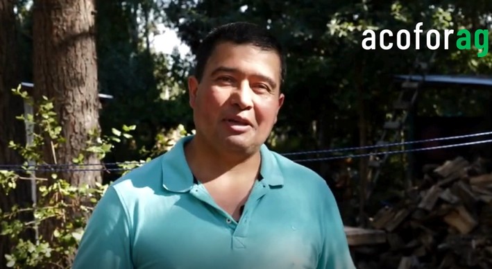 Beekeeping with Roots in the Forest: The Story of Patricio Quilodrán, Verónica Vidal, and René Quilodrán