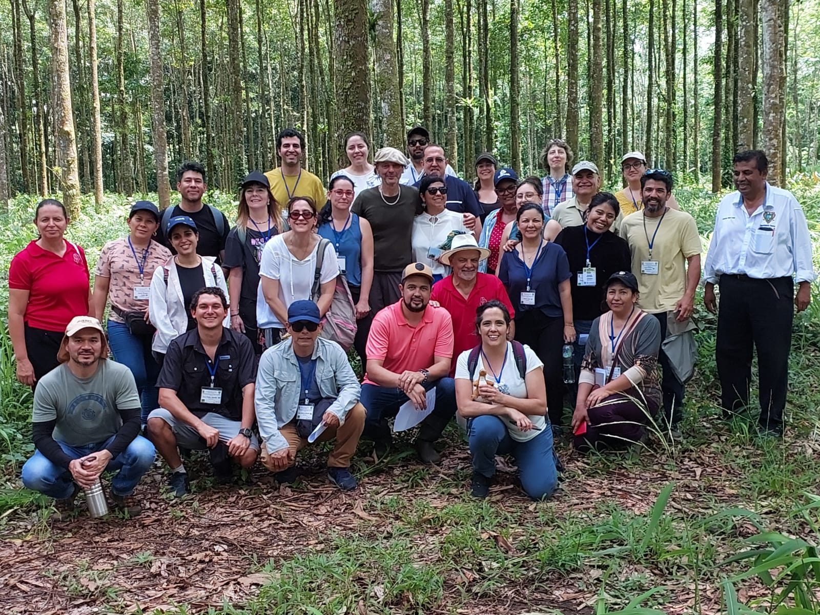 U. de Chile integra red internacional que protege la diversidad genética de los bosques