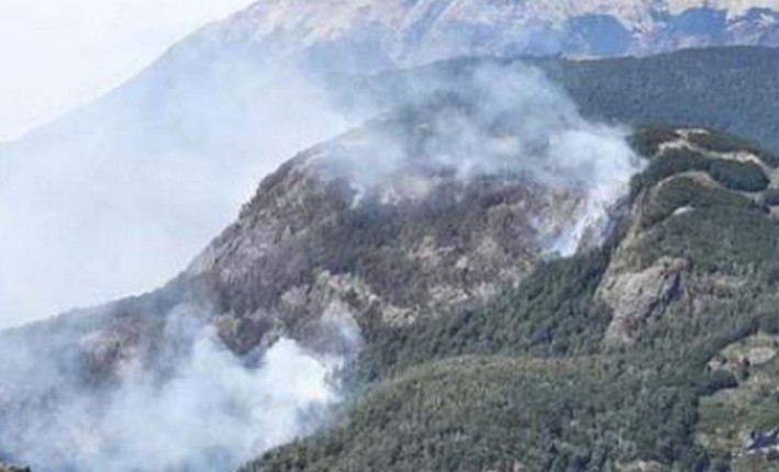 En 88% bajó la superficie afectada por incendios forestales en la Región de Los Lagos