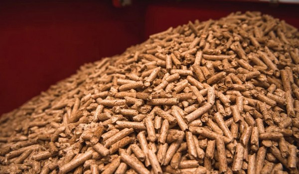 Biobío and Brazil Agree on Strategic Alliance to Lead in Bioenergy in Latin America