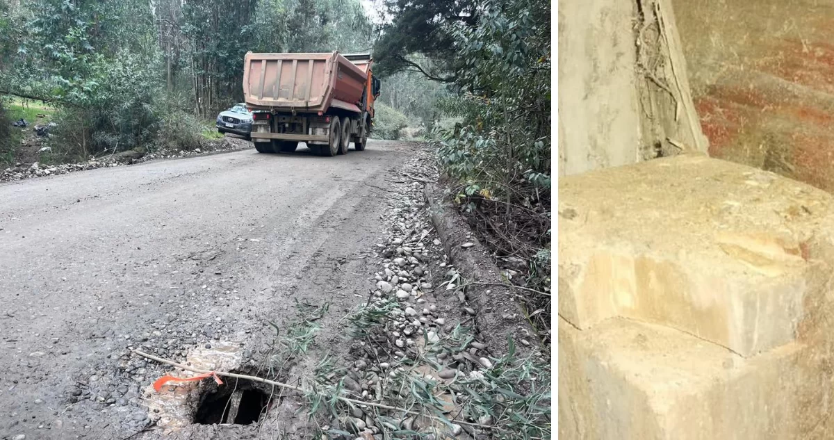 Sujetos destruyen soportes de puente ubicado al interior de predios forestales en Mariquina