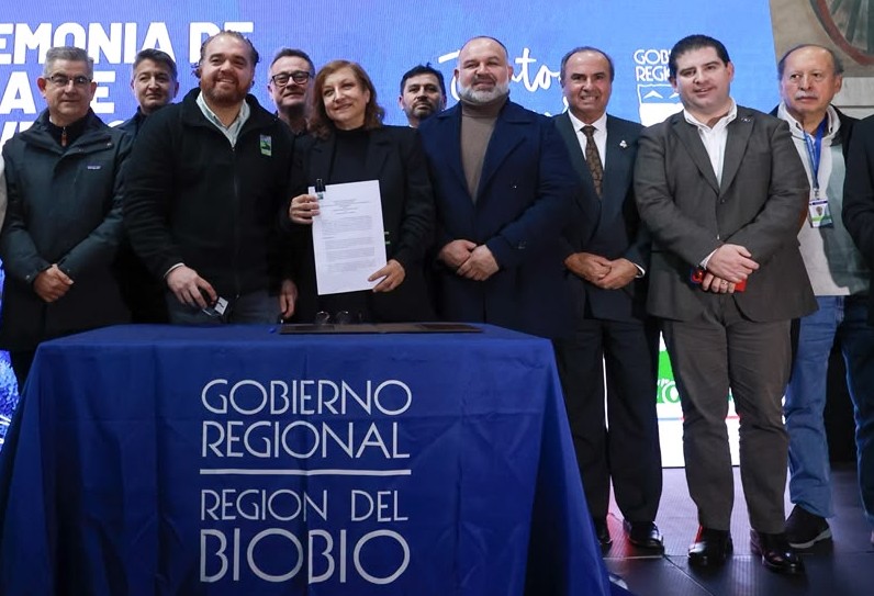 Biobío allocates $9.8 billion to recover forests affected by fires