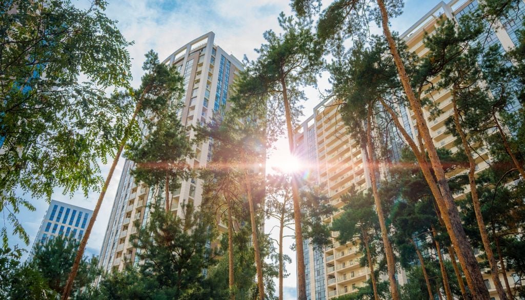 Una IA identifica árboles desde el cielo y revela cuáles resisten mejor el calor en las ciudades
