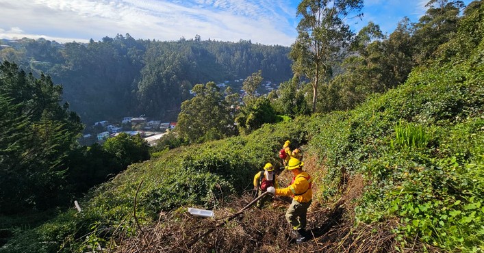 Prevention Initiative in Biobío Aims to "Extinguish" Wildfires in Winter