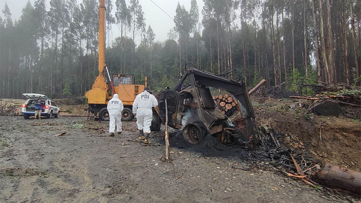 Efecto violencia: Contratistas forestales advierten la quiebra de una decena de empresas y la pérdida de 500 puestos