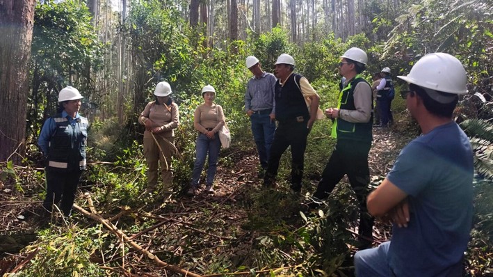 Forest alliance between Peru and Chile drives sustainable economy and carbon market