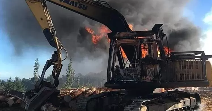 Declaran admisible demanda de contratistas forestales contra el Estado por ataques en Macrozona Sur
