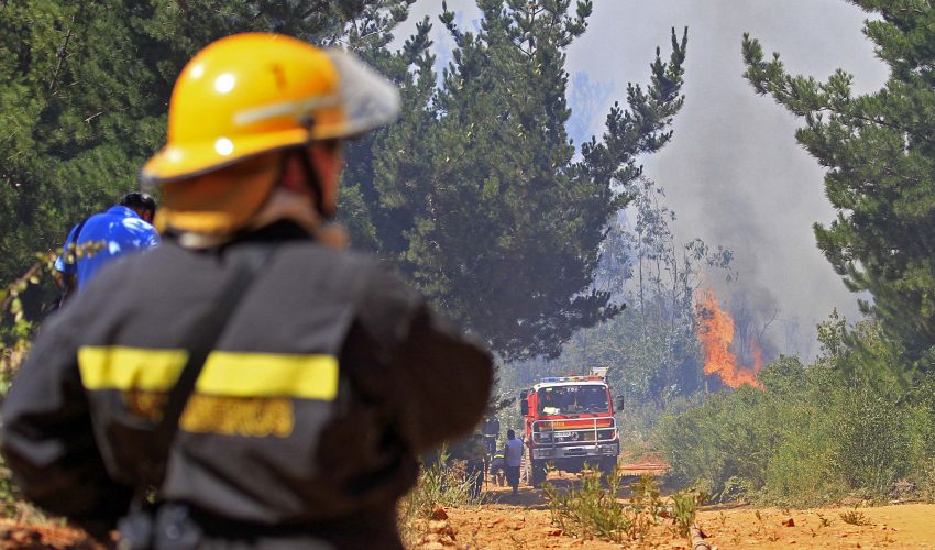 Lei de Incêndios não conseguirá vigorar neste verão: apontam para tramitação emperrada na Comissão Mista