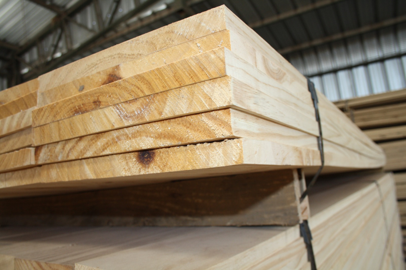 Family business from Los Ángeles that knew how to reinvent itself by betting on innovation and new business areas