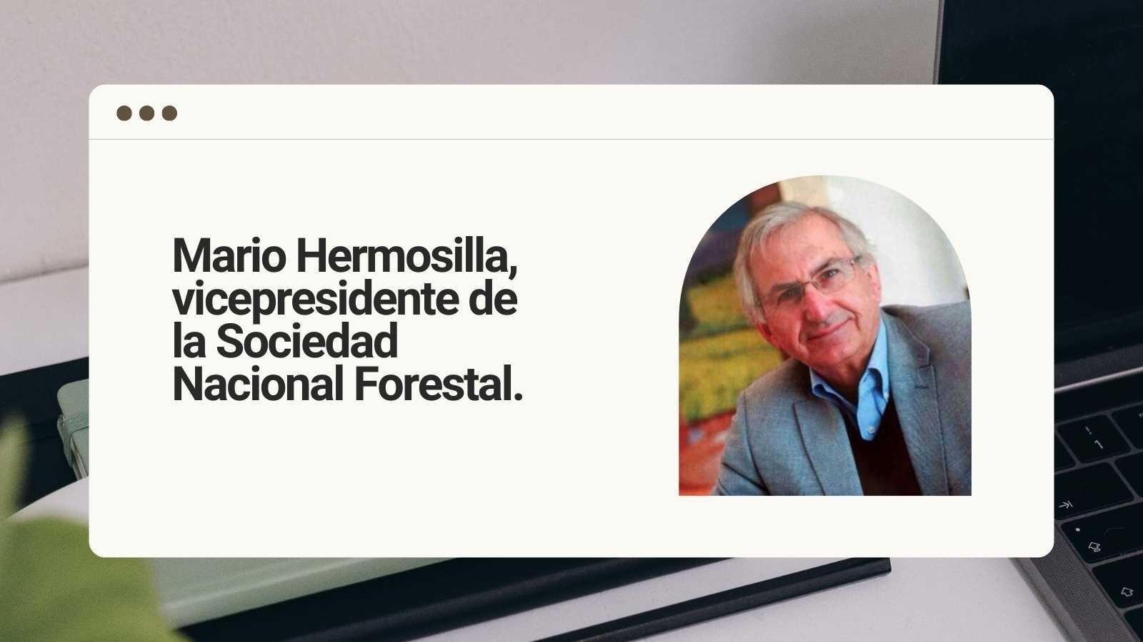 Can the forestry industry withstand this level of wildfires?